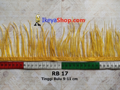 RB 17  large2